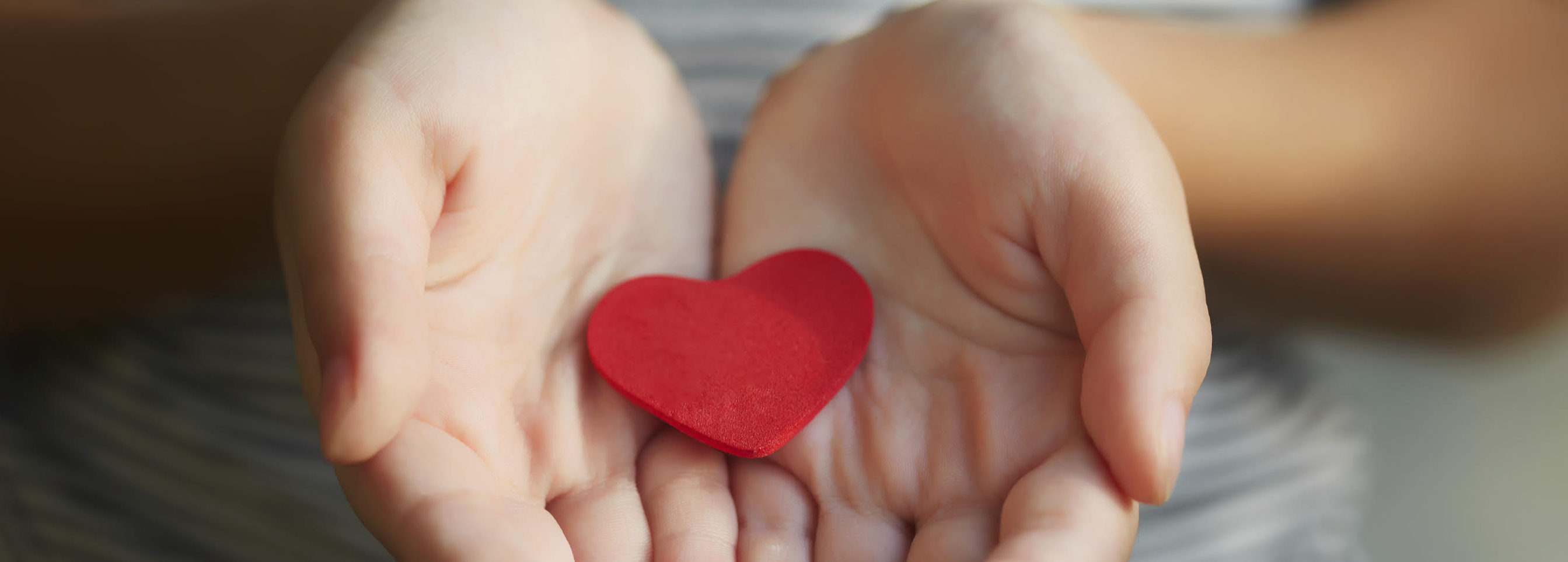 Little girl holding a red heart Little girl holding a red heart