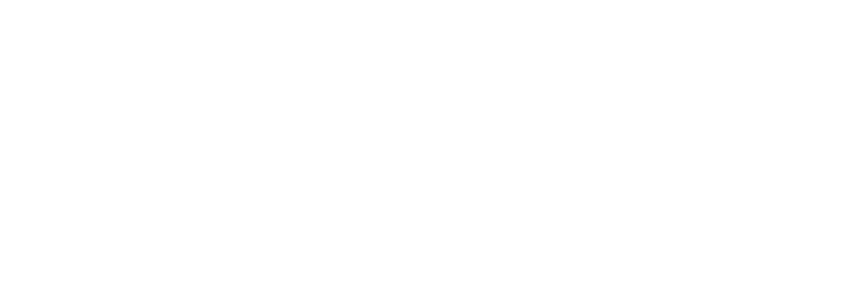 WellSense-Logo