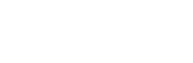 Trio VMS